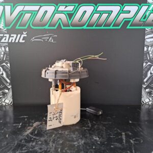 Peugeot 207 1.4 bencinska črpalka 9684934480