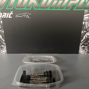 Seat Ibiza 1.6 2010 77kw BTS vžigalna tuljava